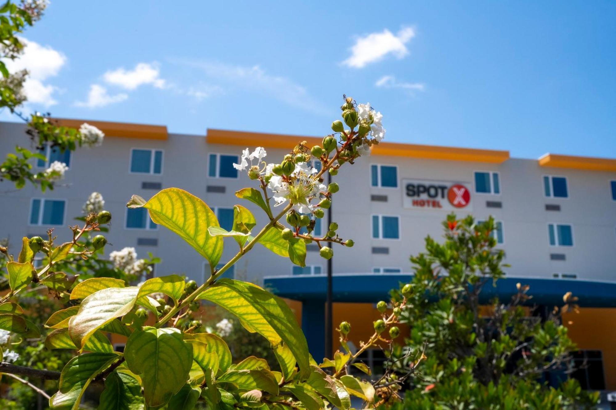 Spot X Hotel Orlando Intl Dr By The Red Collection Lake Buena Vista Ngoại thất bức ảnh